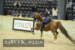 24BUCK_03516 thumbnail