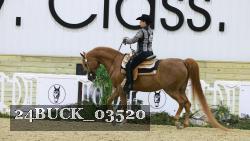24BUCK_03520 thumbnail