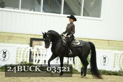 24BUCK_03521 thumbnail