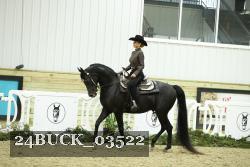 24BUCK_03522 thumbnail