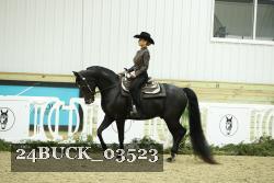 24BUCK_03523 thumbnail