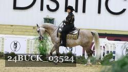 24BUCK_03524 thumbnail