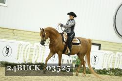 24BUCK_03525 thumbnail