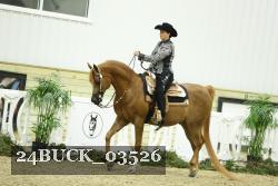 24BUCK_03526 thumbnail