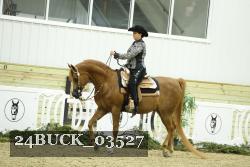 24BUCK_03527 thumbnail