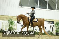 24BUCK_03528 thumbnail