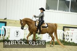 24BUCK_03529 thumbnail