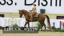 24BUCK_03530 thumbnail