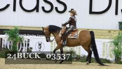 24BUCK_03537 thumbnail