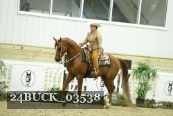 24BUCK_03538 thumbnail