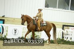 24BUCK_03539 thumbnail