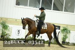24BUCK_03542 thumbnail