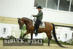 24BUCK_03543 thumbnail