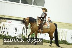 24BUCK_03546 thumbnail