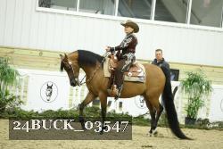 24BUCK_03547 thumbnail