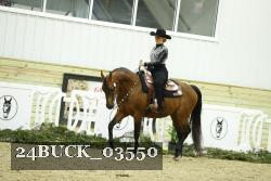 24BUCK_03550 thumbnail