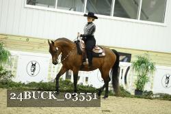 24BUCK_03551 thumbnail