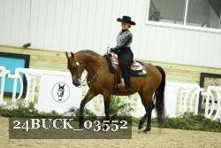 24BUCK_03552 thumbnail