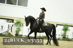 24BUCK_03555 thumbnail