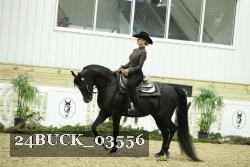 24BUCK_03556 thumbnail