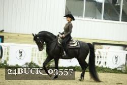 24BUCK_03557 thumbnail