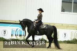 24BUCK_03558 thumbnail