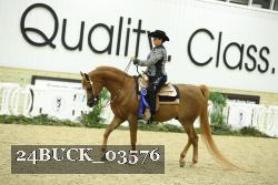 24BUCK_03576 thumbnail