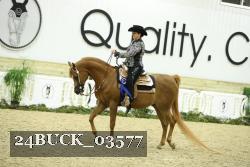 24BUCK_03577 thumbnail