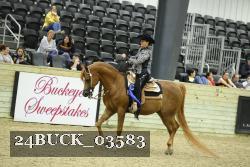 24BUCK_03583 thumbnail