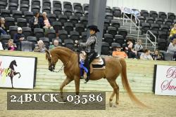 24BUCK_03586 thumbnail
