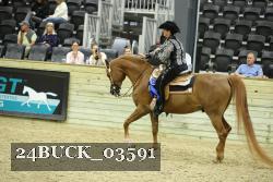 24BUCK_03591 thumbnail