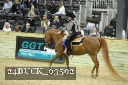 24BUCK_03592 thumbnail