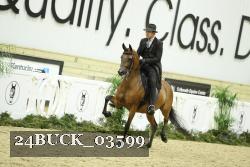 24BUCK_03599 thumbnail