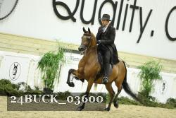 24BUCK_03600 thumbnail