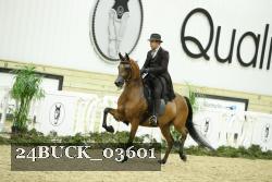 24BUCK_03601 thumbnail