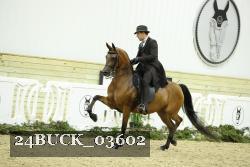 24BUCK_03602 thumbnail