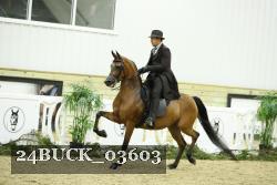 24BUCK_03603 thumbnail