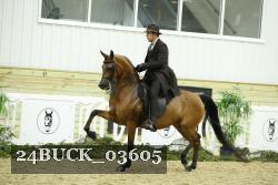 24BUCK_03605 thumbnail