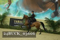 24BUCK_03606 thumbnail