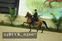 24BUCK_03607 thumbnail
