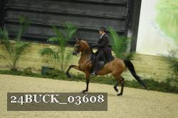 24BUCK_03608 thumbnail