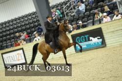24BUCK_03613 thumbnail