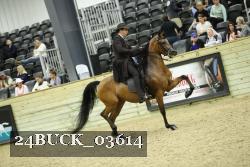 24BUCK_03614 thumbnail