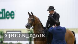 24BUCK_03618 thumbnail