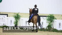 24BUCK_03620 thumbnail