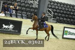 24BUCK_03621 thumbnail
