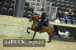 24BUCK_03622 thumbnail