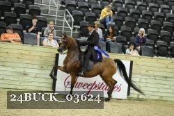 24BUCK_03624 thumbnail