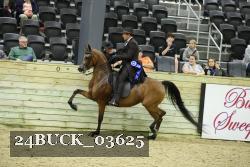 24BUCK_03625 thumbnail