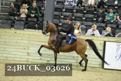 24BUCK_03626 thumbnail